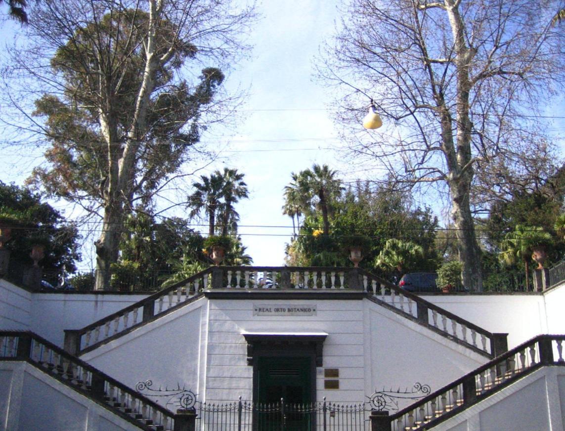 Appartamento Ira House *